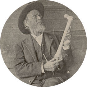 アンドリュー.テイラー.スティル